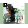 EVA COSMETICS — ALOE EVA STRENGTHENING HAIR OIL REPLACEMENT WITH ALOE VERA 250 ML